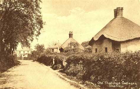 Hertfordshire Genealogy News: Post Card Views of Shenley