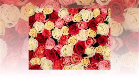 Миллион алых роз - YouTube