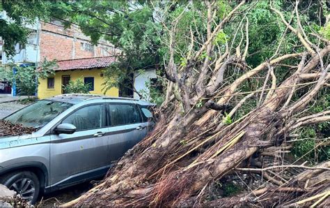 Huracán Lidia Así quedó Puerto Vallarta luego del paso del ciclón