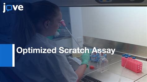 Optimized Scratch Assay Testing Of Cell Migration With Automated Optical Camera L Protocol