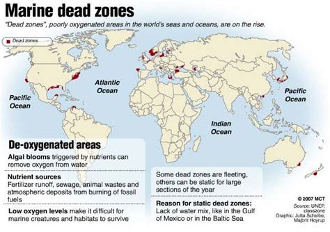 Ocean Dead Zones Map - Map Of Stoney Lake