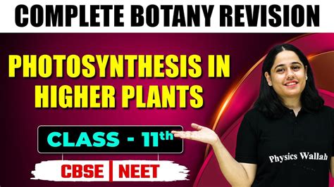 Photosynthesis In Higher Plants In 30 Minutes Complete Chapter Revision Botany Class 11