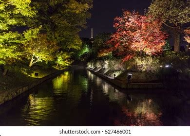 Toji Temple By Night Toji Buddhist Stock Photo 527466001 | Shutterstock