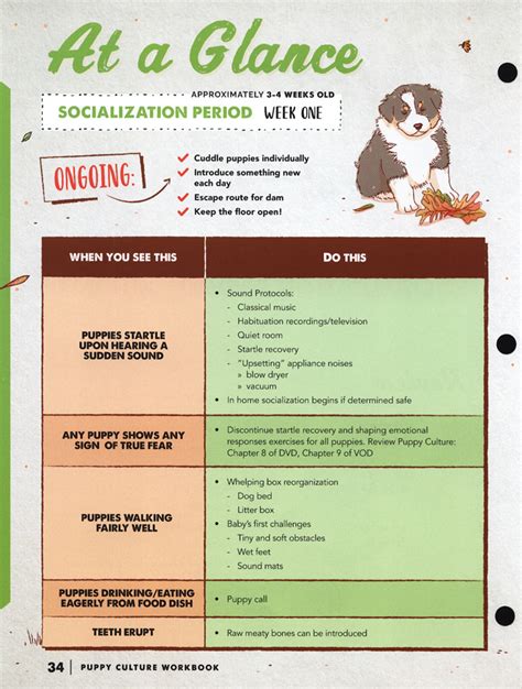 Puppy Culture Workbook Kit - Dogwise