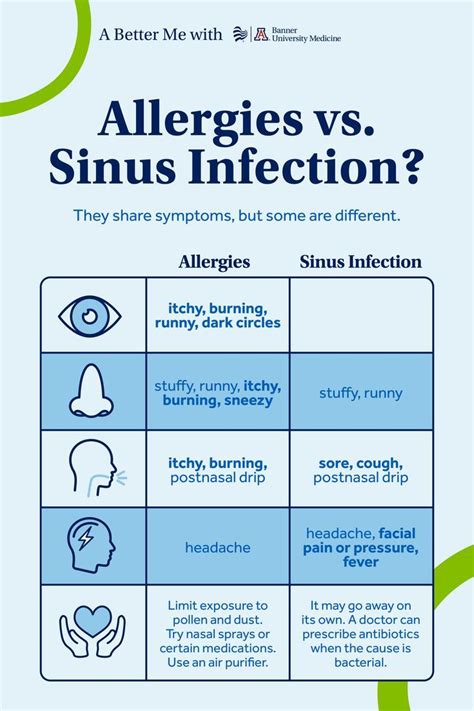 Allergies Vs Sinus Infection Artofit