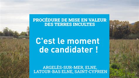 Procédure de mise en valeur des terres incultes ou manifestement sous