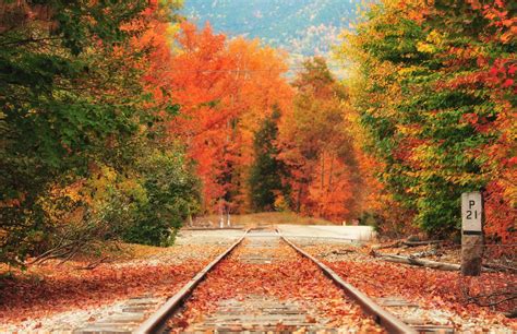 14 Best Train Rides For Spotting Fall Foliage In The South