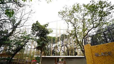 New Manila Zoo The Story Behind Its Architecture After Renovation