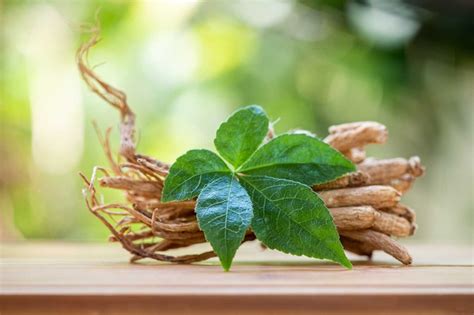 10 Health Benefits Of Ginseng Alive Magazine