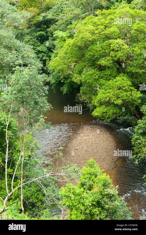 Beautiful Jungle Scenery In Batang Ai National Park In Sarawak Borneo