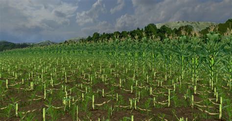 FS2013 Real maize texture v 1 0 Textures Mod für Farming Simulator 2013