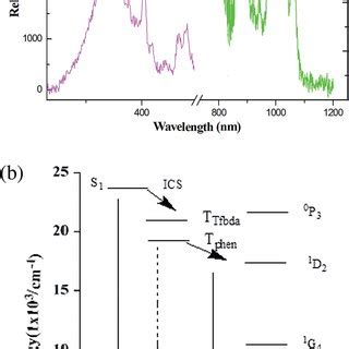 The excitation monitored at l em ¼ 808 nm and emission spectra of