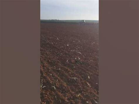 Трактор в поле делает свою работу - YouTube