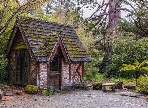 Hut in Forest · Free Stock Photo