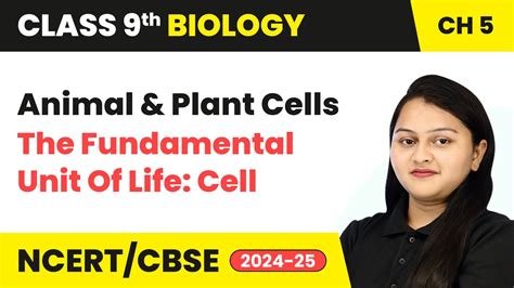 Animal And Plant Cells The Fundamental Unit Of Life Cell Class 9