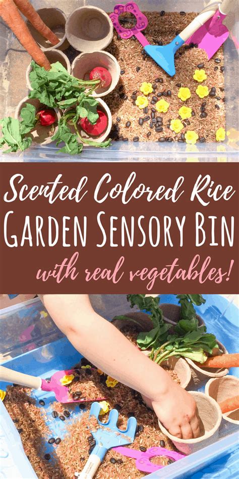 23 Garden Sensory Bin Ideas Worth A Look Sharonsable