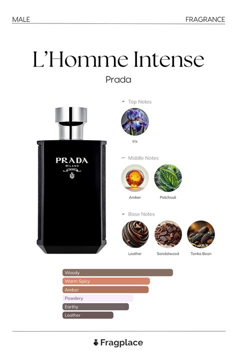 prada lhomme intense sophisticated sensual top fragrance  men