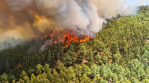 Los Grandes Incendios Evolucionan Favorablemente Pero Se Desata Otro