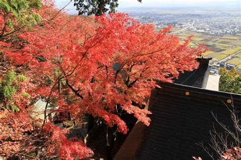 『太郎坊宮の紅葉』湖東三山・多賀・東近江(滋賀県)の旅行記・ブログ by きよさん【フォートラベル】