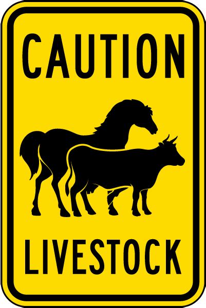 Caution Livestock Sign Save 10 Online Ships Fast