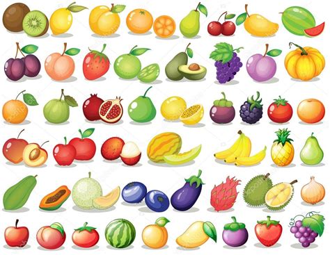 Fruit Set Stock Vector Image By ©interactimages 54092015