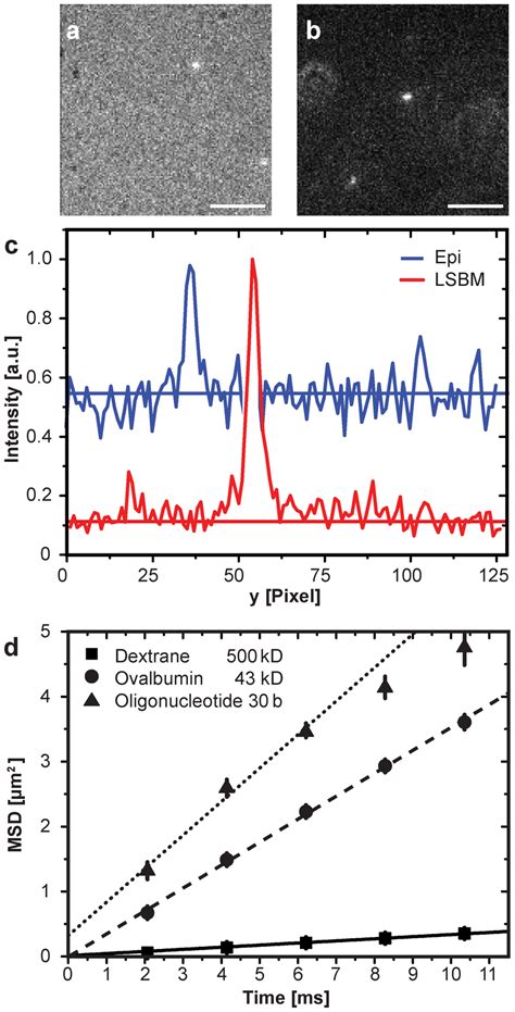 Single molecule visualization and tracking in solution. (a) Standard ... 