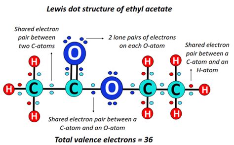 Is Ethyl Acetate Polar or Nonpolar? – (Polarity of Ethyl Acetate)