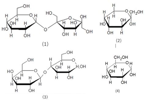 糖类学全球百科