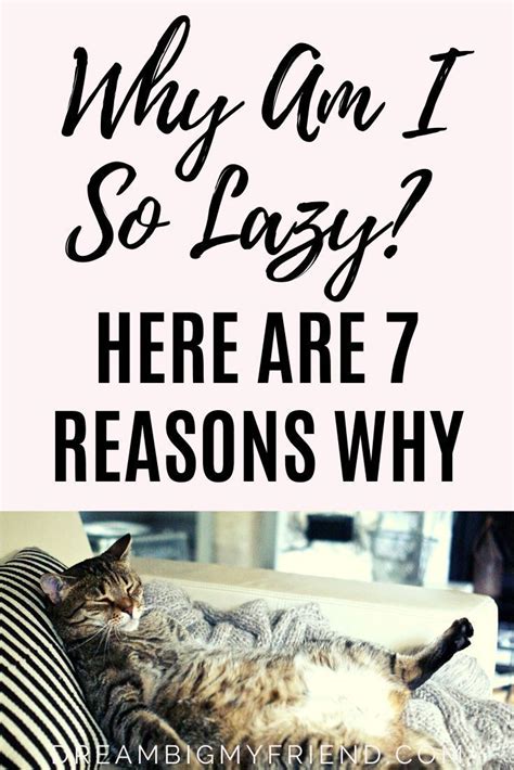 Why Am I So Lazy 7 Reasons Why And What You Can Do About It