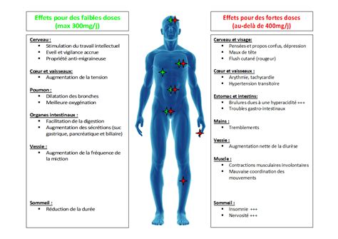 La Consommation Et Les Effets De La Caf Ine Chez Les Tudiants Effets