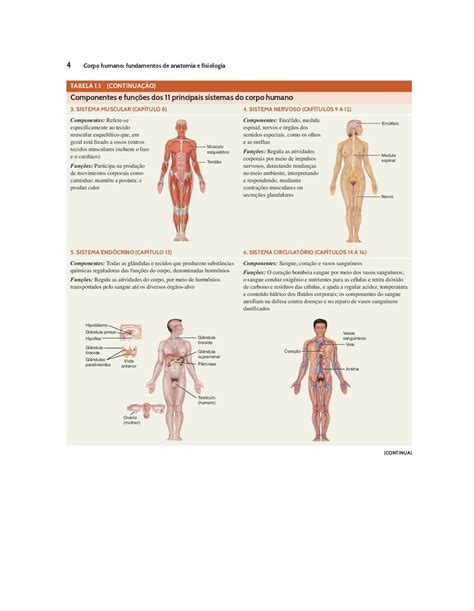 Corpo Humano Fundamentos De Anatomia E Fisiologia De Tortora Gerard