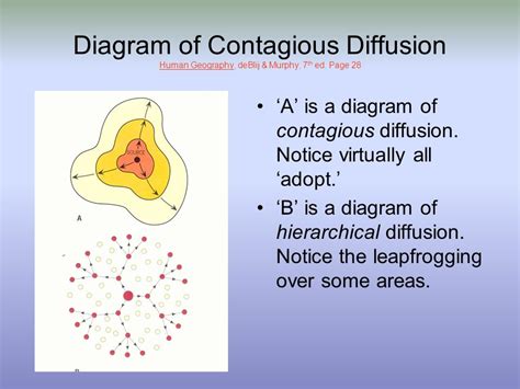 Definition Of Hierarchical Diffusion In Human Geography