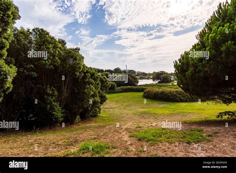 Horizontal Shot Of The Porto City Park In Portugal Plain Ground With