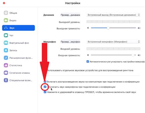 как отключить звук в зуме на компьютер у себя