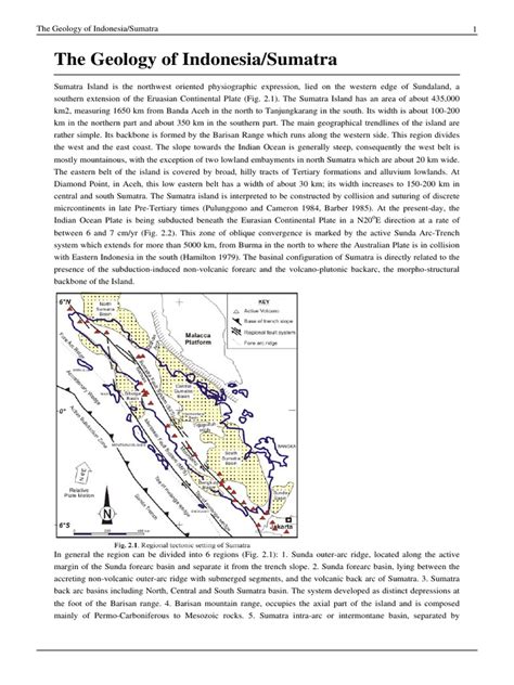 Geology of Indonesia | PDF | Sedimentary Rock | Clastic Rock