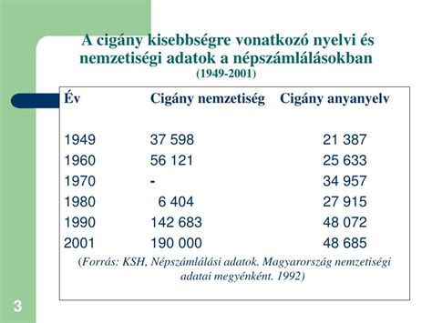 PPT A magyarországi cigányok kétnyelvűsége PowerPoint Presentation