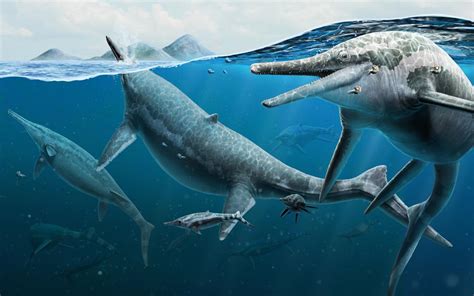 Whale Sized Marine Reptiles Gathered To Give Birth Natural History