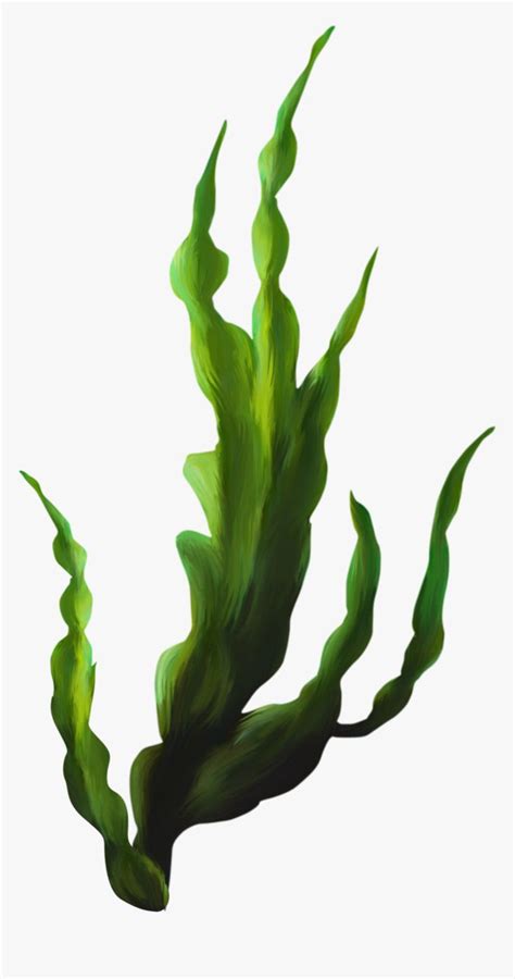 Transparent Seaweed Png - Z 3485993240