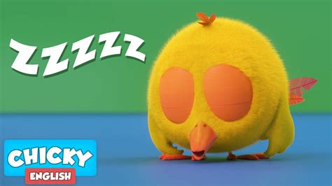 Where S Chicky Funny Chicky Sleepiness Chicky Chicky Cartoon