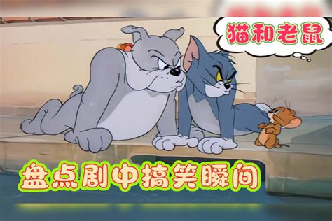 猫和老鼠：盘点剧中搞笑瞬间，汤姆成了纸片人，真是太逗了