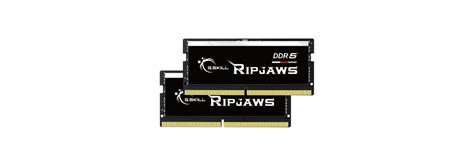 G Skill Ripjaws Series So Dimm Go X Go Ddr Mhz Cl M