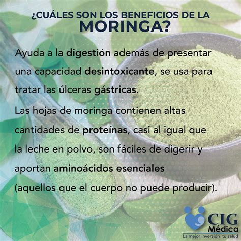 Usos Y Beneficios De La Moringa