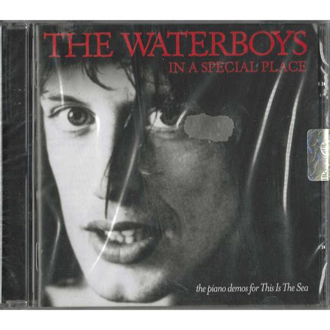 The Waterboys Cd In A Special Place Chrysalis 5099909841024 Sealed