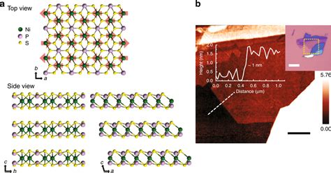 Magnetic Van Der Waals Material Nips3 A Crystal Structure Of Nips3