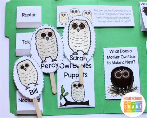 Free Owl Babies Activities for Preschool - Homeschool Share