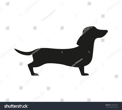 Silhouette Dachshund On White Background Vector Stock Vector (Royalty ...