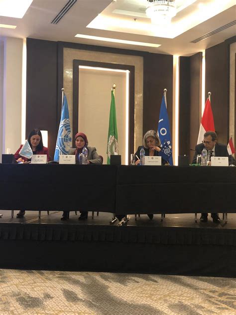 Iom Mena On Twitter يحدث الآن في القاهرة المؤتمر الإقليمي بشأن