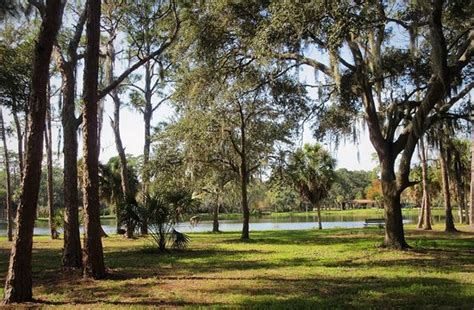 Lake Seminole Park 2020 All You Need To Know Before You Go With