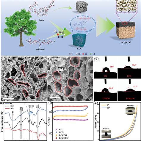 A Synthesis Schematic Of Lignocellulosic Biomass‐based Double‐layered