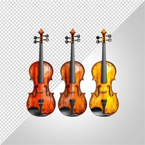 Four Different Types Of Violins With Different Colors And Shapes